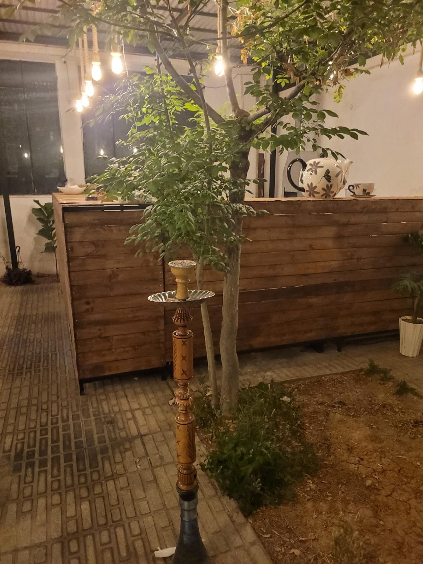 عکس سفره خانه 