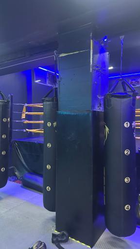 باشگاه کیک بوکسینگ تبریز (زارع)