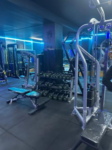 باشگاه کیک بوکسینگ تبریز (زارع)