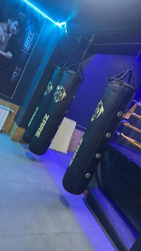 عکس باشگاه کیک بوکسینگ تبریز (زارع)