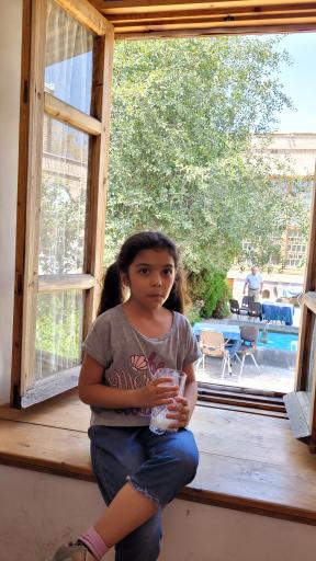 هتل و رستوران تاریخی خانه صادقی