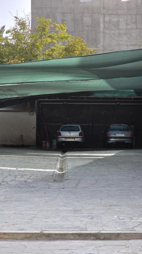 عکس کارواش دِوین