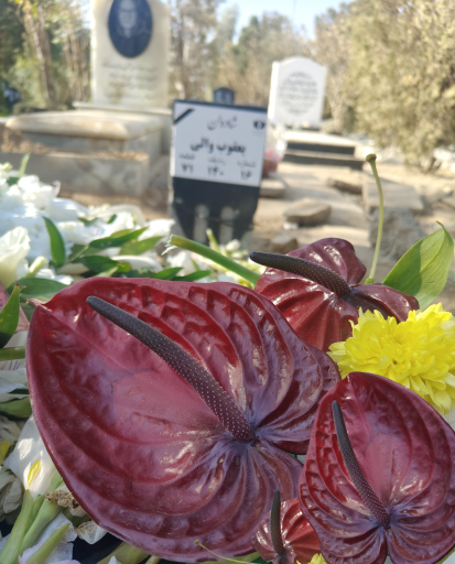 عکس مزار کربلایی یعقوب والی