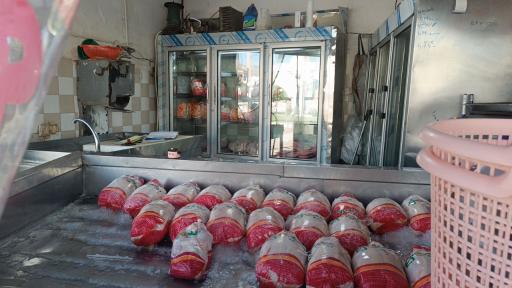عکس پروتئینی بهار