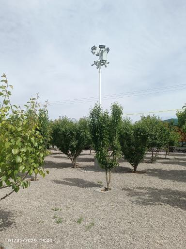 عکس کارگاه گلاب گیری حسن نظری