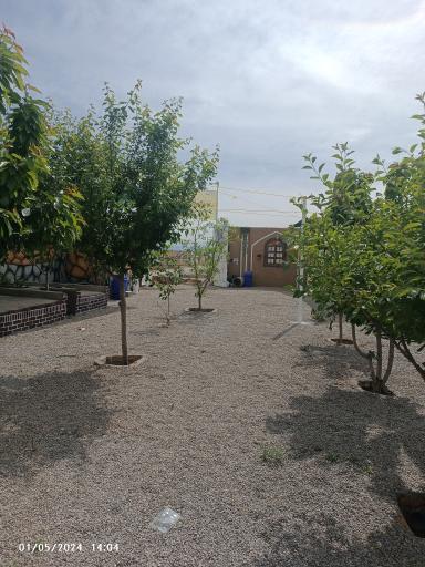 عکس کارگاه گلاب گیری حسن نظری