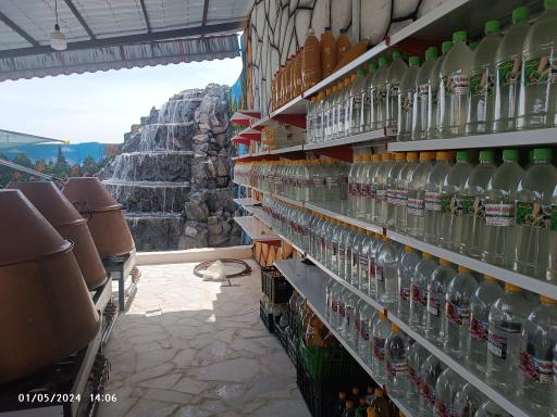 عکس کارگاه گلاب گیری حسن نظری