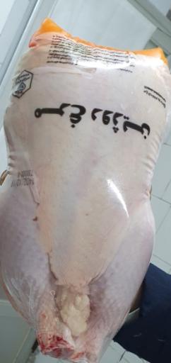 کشتارگاه مرغ روژین