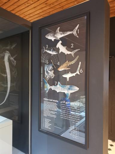 عکس موزه دریا و دریانوردی و موزه منطقه ای خلیج فارس