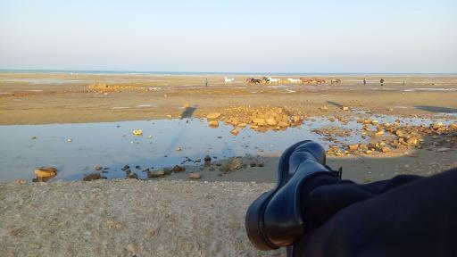 عکس موزه دریا و دریانوردی و موزه منطقه ای خلیج فارس