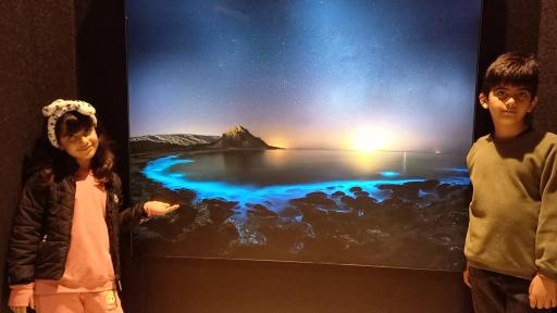 عکس موزه دریا و دریانوردی و موزه منطقه ای خلیج فارس