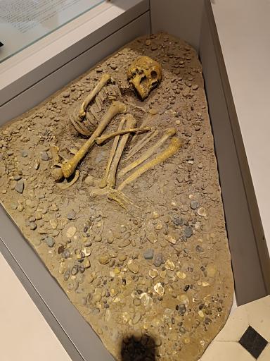 عکس موزه دریا و دریانوردی و موزه منطقه ای خلیج فارس