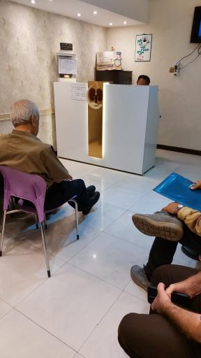 عکس دکتر فیروزه معین زاده