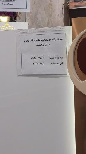 عکس دکتر فیروزه معین زاده