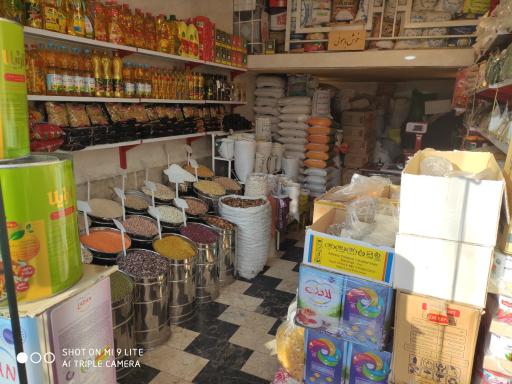 عکس رشت برنج