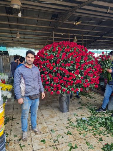 عکس فروشگاه گل احمدی