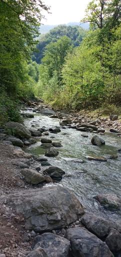 عکس غار دیو سپید شیرآباد