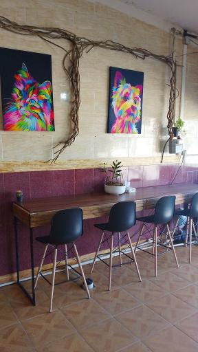 عکس کافه لاوازا