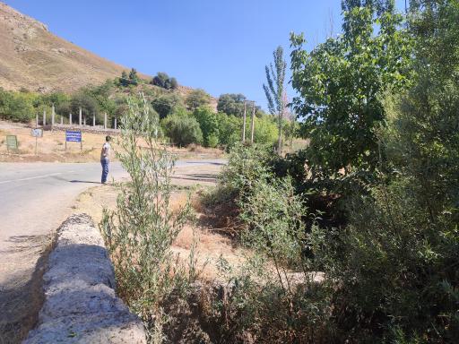 عکس طرزه
