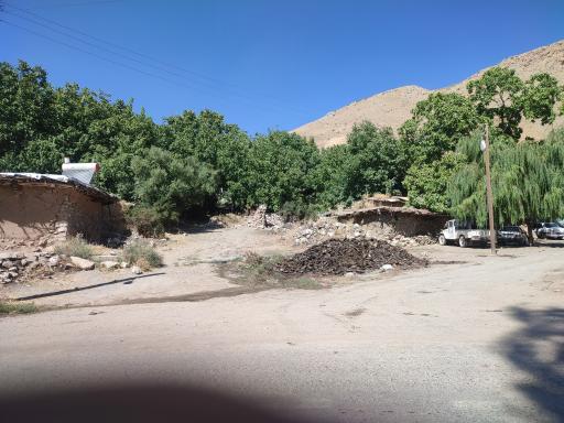 عکس طرزه