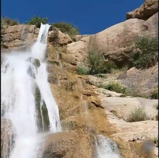 عکس طرزه