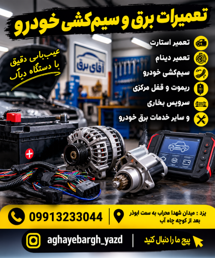 عکس برق و باتری سازی میرجلیلی