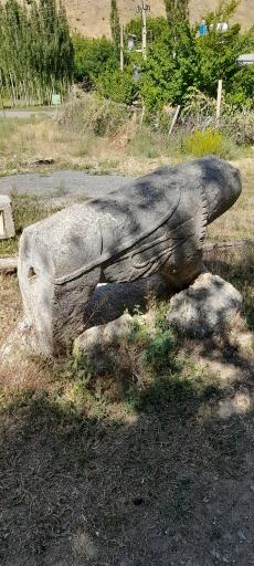 عکس طرزه