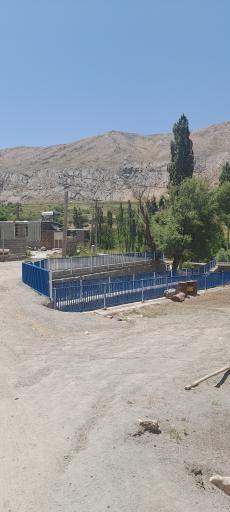 عکس طرزه