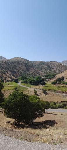 عکس طرزه