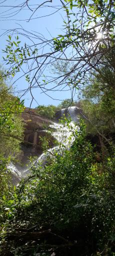 عکس طرزه