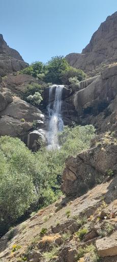 عکس طرزه