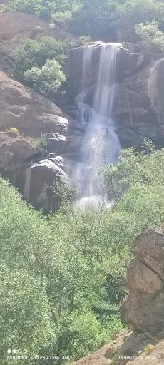 عکس طرزه