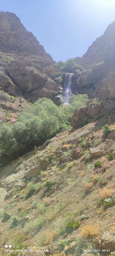 عکس طرزه