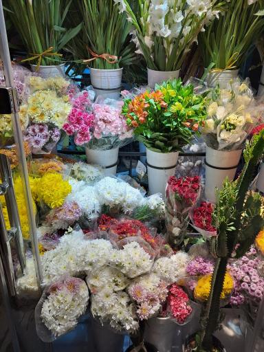 عکس گل آفتابگردون