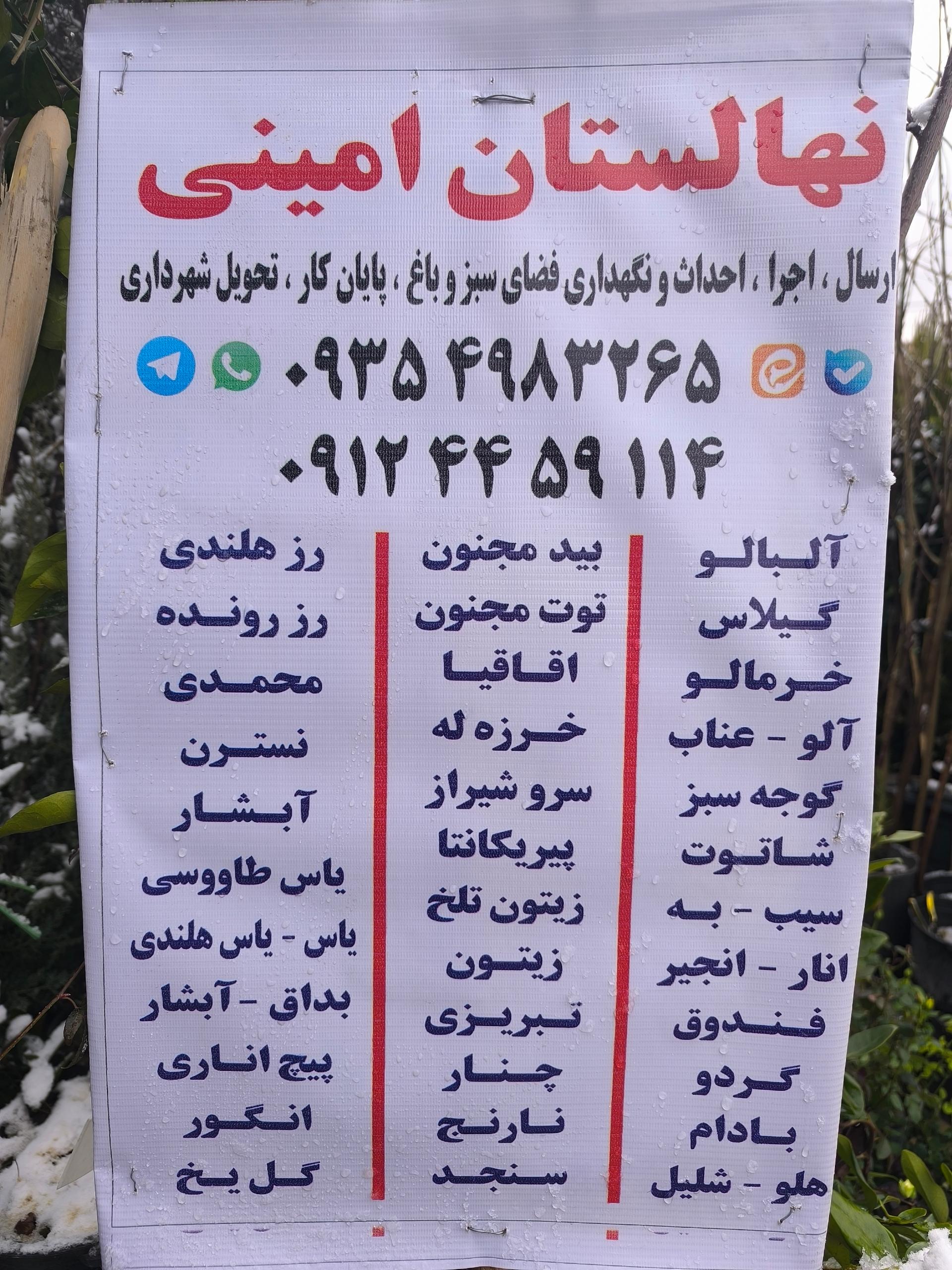 عکس نهالستان امینی