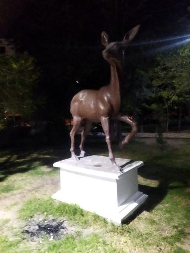 عکس بوستان شهدای تهرانپارس