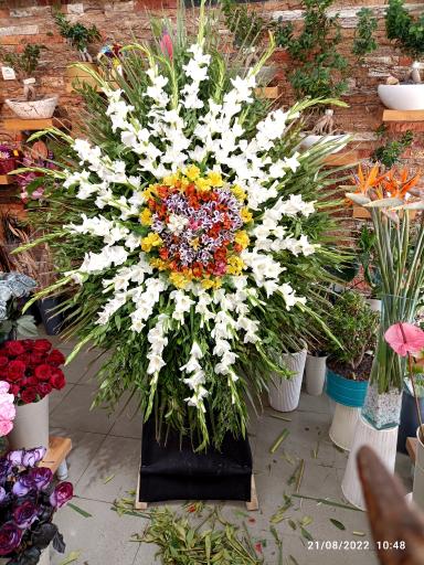 عکس گلسرای گلبرگ