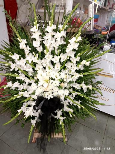 عکس گلسرای گلبرگ