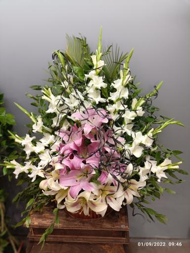 عکس گلسرای گلبرگ