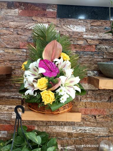 عکس گلسرای گلبرگ