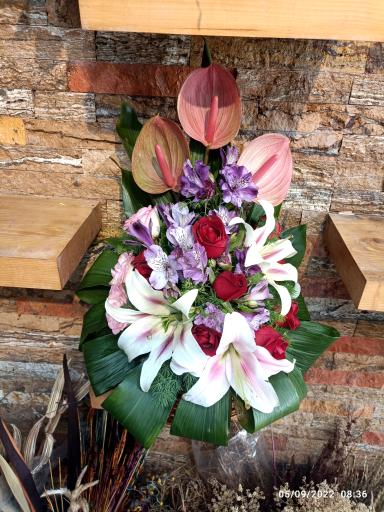 عکس گلسرای گلبرگ