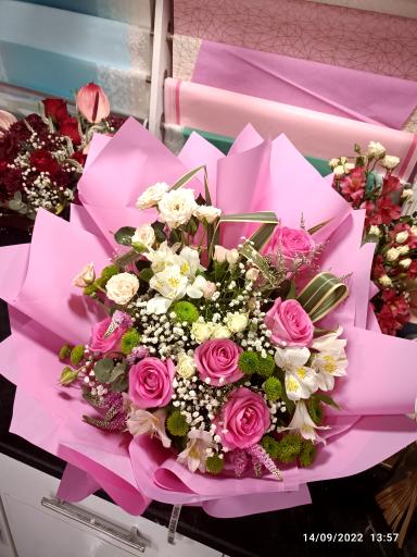 عکس گلسرای گلبرگ