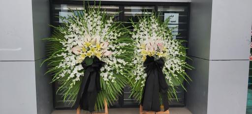 عکس گل فروشی گل رز بابل