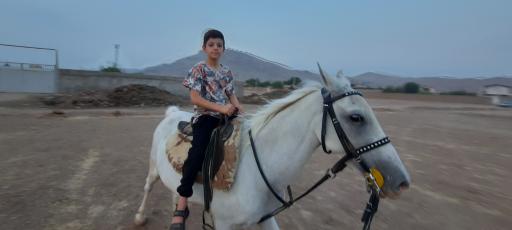 عکس مجموعه پرورش اسب محمد ملکی پارسا