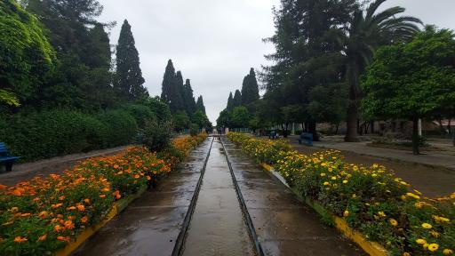 عکس باغ چهل ستون