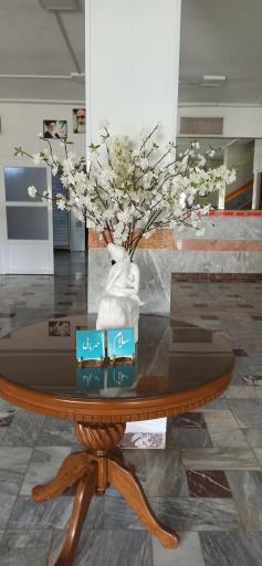 عکس مرکز نگهداری معلولین ذهنی و حرکتی نسیبه