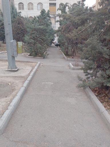 عکس پارک سعید