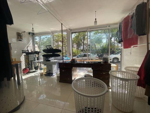 عکس خشکشویی کوه نور