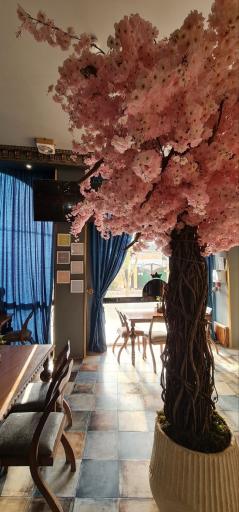 عکس رستوران کره ای هانل