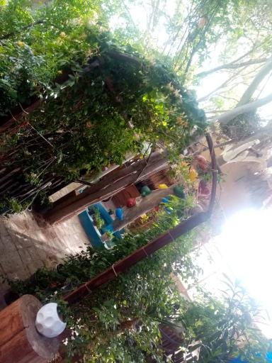 عکس اقامتگاه بومگردی شهر پرستاره